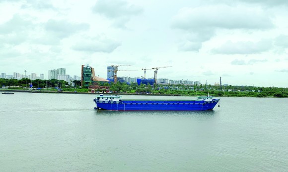 Bảo vệ môi trường lưu vực hệ thống sông Đồng Nai ảnh 1