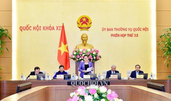 Luật Đặc khu sẽ là luật chung? ảnh 1