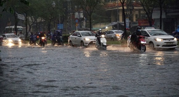TPHCM mưa lớn, cây xanh bật gốc ngã đè người đi đường tử vong ảnh 3