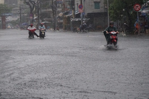 TPHCM mưa lớn, cây xanh bật gốc ngã đè người đi đường tử vong ảnh 10
