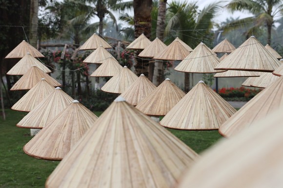 Dịp Tết thưởng thức 'Bản giao hưởng mùa xuân' lung linh tại Ecopark ảnh 10