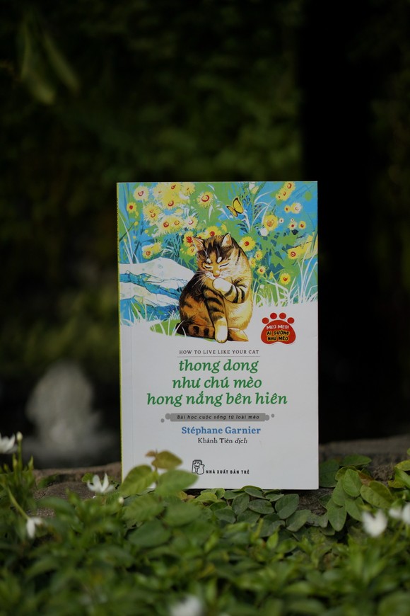 Những quyển sách giúp thư thái tâm hồn nhân ngày Quốc tế phụ nữ ảnh 2