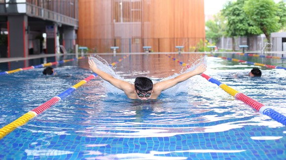 SNA chính thức giảng dạy chương trình Tú tài Quốc tế IB ảnh 4