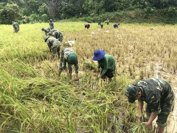 Quảng Trị: Nỗ lực hỗ trợ người dân khắc phục hậu quả bão số 5 ảnh 7