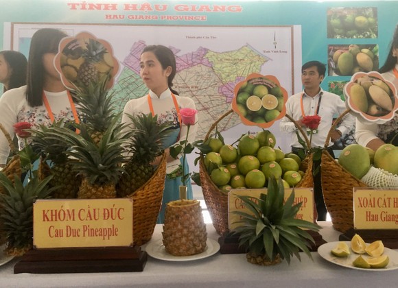 Hậu Giang tìm cách xây dựng chuỗi giá trị nông sản ảnh 2