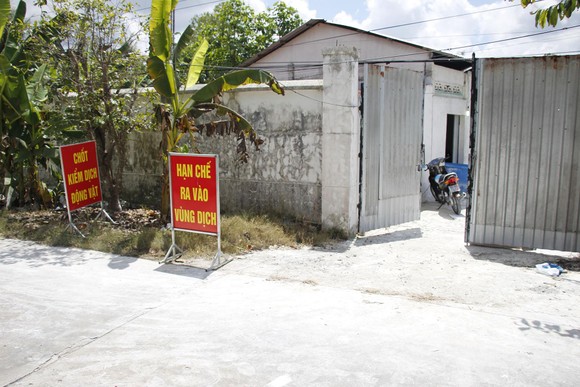 Lo ngại "đặc trưng sông nước" của ĐBSCL khiến dịch tả heo châu Phi lây lan ảnh 5