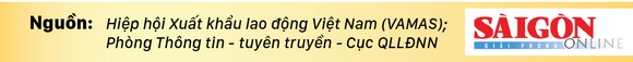 Để làm việc ở nước ngoài an toàn, hợp pháp, người lao động cần biết gì? ảnh 9
