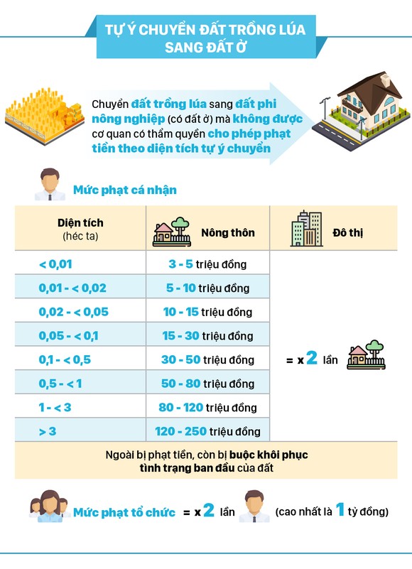 Tự ý chuyển đất trồng lúa sang đất ở phạt tiền tới 1 tỷ đồng ảnh 2