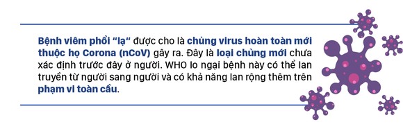 Bệnh viêm phổi 'lạ' - Những con số đáng quan tâm ảnh 2