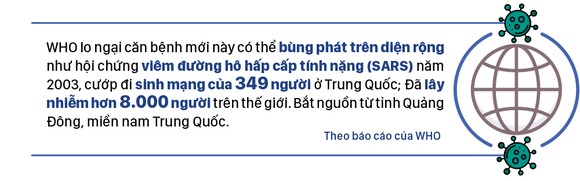 Bệnh viêm phổi 'lạ' - Những con số đáng quan tâm ảnh 5