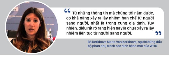 Bệnh viêm phổi 'lạ' - Những con số đáng quan tâm ảnh 6