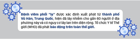 Bệnh viêm phổi 'lạ' - Những con số đáng quan tâm ảnh 1