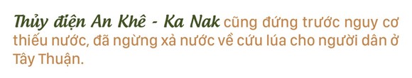 Nông dân vật lộn với khô hạn, thiếu nước ảnh 15