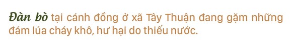 Nông dân vật lộn với khô hạn, thiếu nước ảnh 17