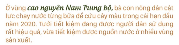 Nông dân vật lộn với khô hạn, thiếu nước ảnh 19