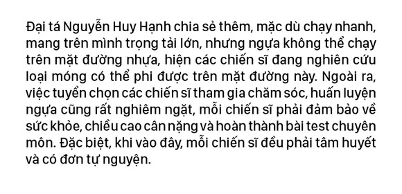 Cảnh sát cơ động Kỵ binh huấn luyện ngựa nghiệp vụ ảnh 18