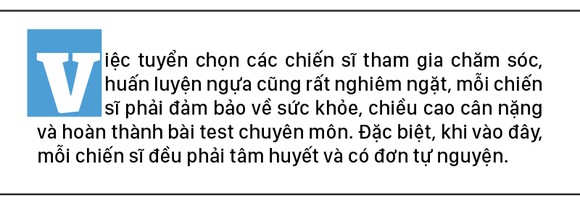 Cảnh sát cơ động Kỵ binh huấn luyện ngựa nghiệp vụ ảnh 1