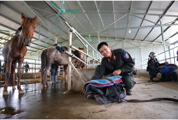Cảnh sát cơ động Kỵ binh huấn luyện ngựa nghiệp vụ ảnh 20