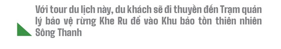Trải nghiệm du lịch bảo vệ rừng ảnh 9