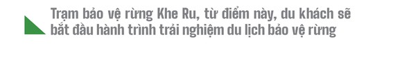 Trải nghiệm du lịch bảo vệ rừng ảnh 11