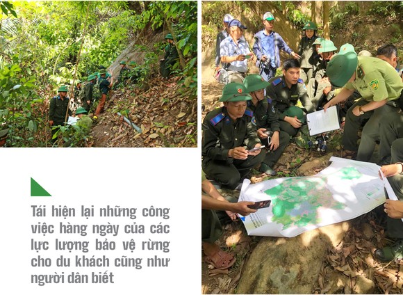 Trải nghiệm du lịch bảo vệ rừng ảnh 16
