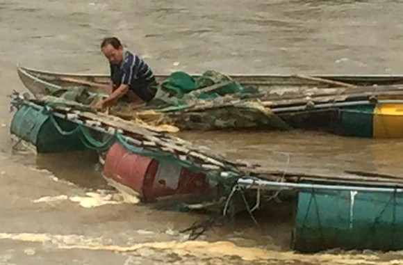Lũ tràn về bất ngờ, cuốn trôi 4 tấn cá diêu hồng của người dân ảnh 4