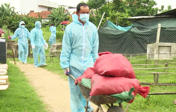 Xuất hiện "ổ" dịch cúm H5N6 có độc lực rất mạnh tại Phú Yên ảnh 3