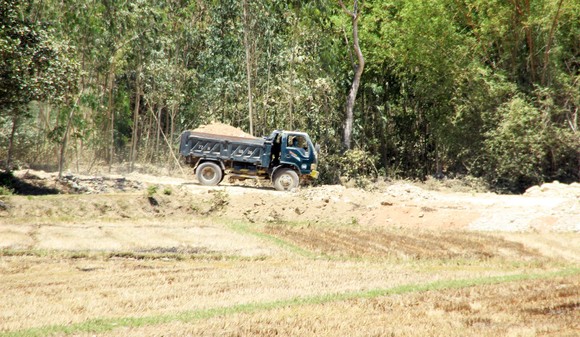 “Đất tặc” lộng hành đào phá núi Mò O ảnh 8
