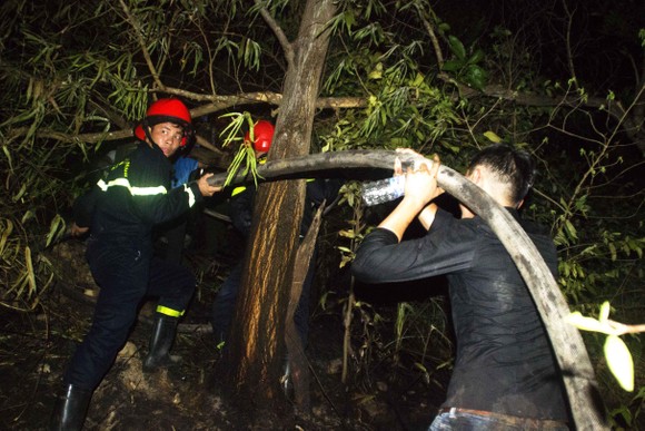 Núi giữa thành phố Quy Nhơn bùng lửa, uy hiếp hàng trăm hộ dân ảnh 10
