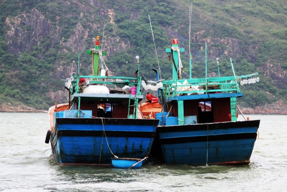 Bão nối liền nhau, Nam Trung bộ gồng mình chống chịu ảnh 6
