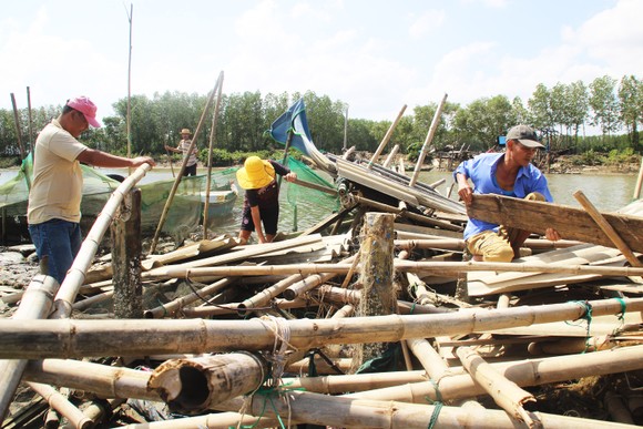 Người nuôi cá, cua đầm Thị Nại lo “mất tết” ảnh 3