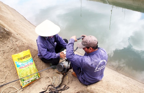Thủy điện 'cứu hạn' cho hàng trăm hécta cây trồng ảnh 2