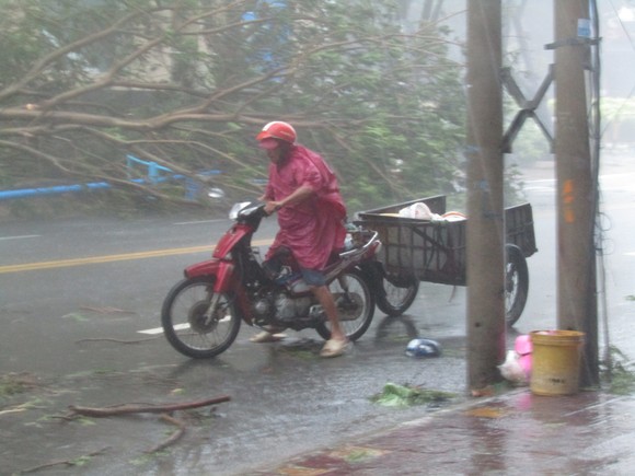 Vũng Tàu - Bến Tre mưa lớn, gió giật mạnh, Khánh Hòa - Ninh Thuận ngập lụt, đường sắt tê liệt ảnh 6