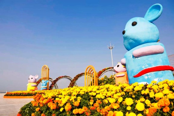 Rực rỡ những đường hoa xuân phục vụ Tết Canh Tý ở ĐBSCL ảnh 16