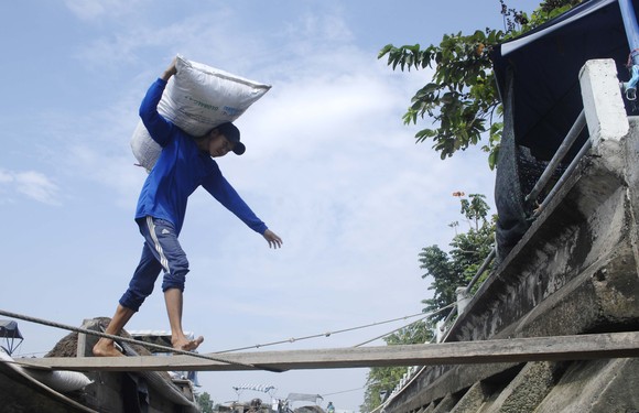 Để làng hoa Sa Đéc khoe sắc 4 mùa ảnh 5
