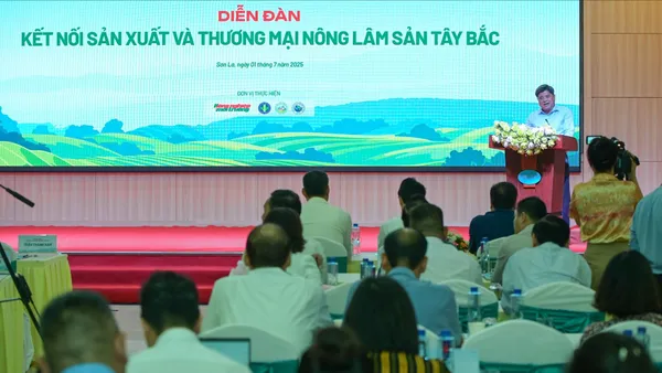 AI NEWS - Nền tảng tin tức chứng khoán