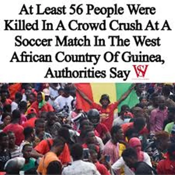 Guinea1.jpg