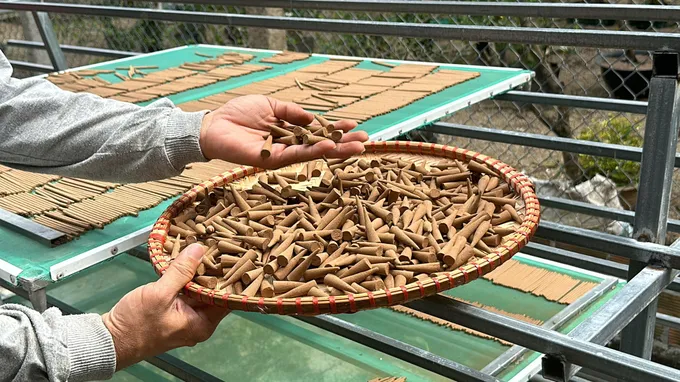 Nụ trầm được đem phơi khô z6098253897030_0eeb9ae27ca2972504e31fe78831d43d.jpg