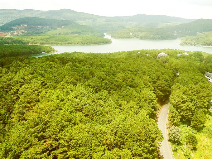 The pine forests are like green "lungs" enveloping Da Lat City. x1a-7303.jpg.jpg