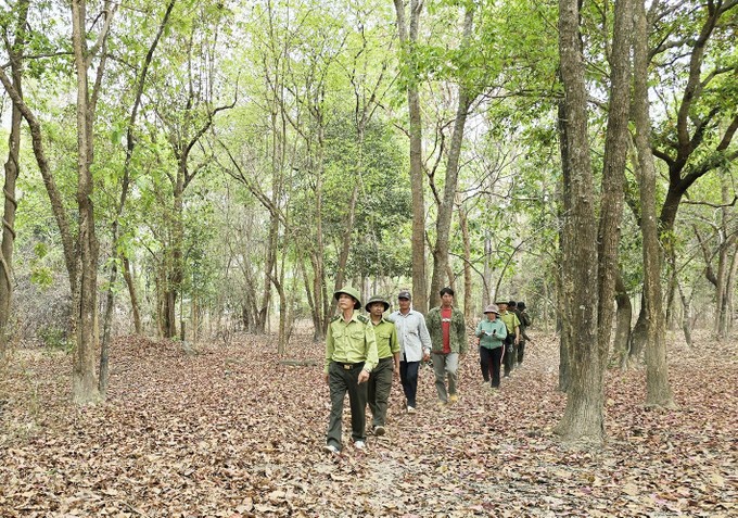 Yok Don National Park rangers and local residents patrol the forest. x5a-7095.jpg.jpg