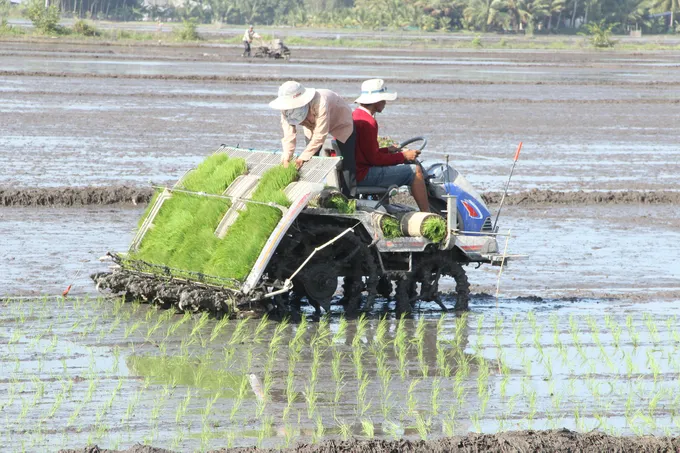 11 Nông dân Hậu Giang sản xuất lúa theo mô hình trồng lúa thông minh dùng cơ giời hóa khâu xuống giống - CAO PHONG.JPG