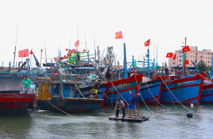 Không khí khẩn trương tại âu thuyền Thọ Quang