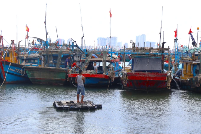 Ngư dân chủ động gia cố tàu thuyền, bảo vệ tài sản trước bão