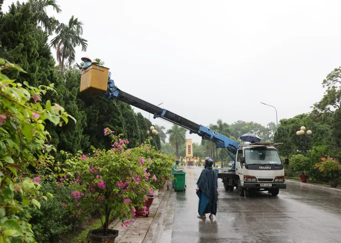 Mai Dịch sáng 23-7-2024 h.JPG