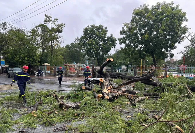 Lực lượng chức năng dọn dẹp hiện trường cây xanh ngã đổ. Ảnh: HỒNG NGHI c5e5c85b9f75172b4e64.jpg