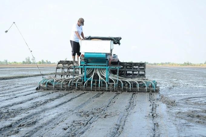 Can Tho City farmers sow seeds in the pilot model implementing the project can tho.webp
