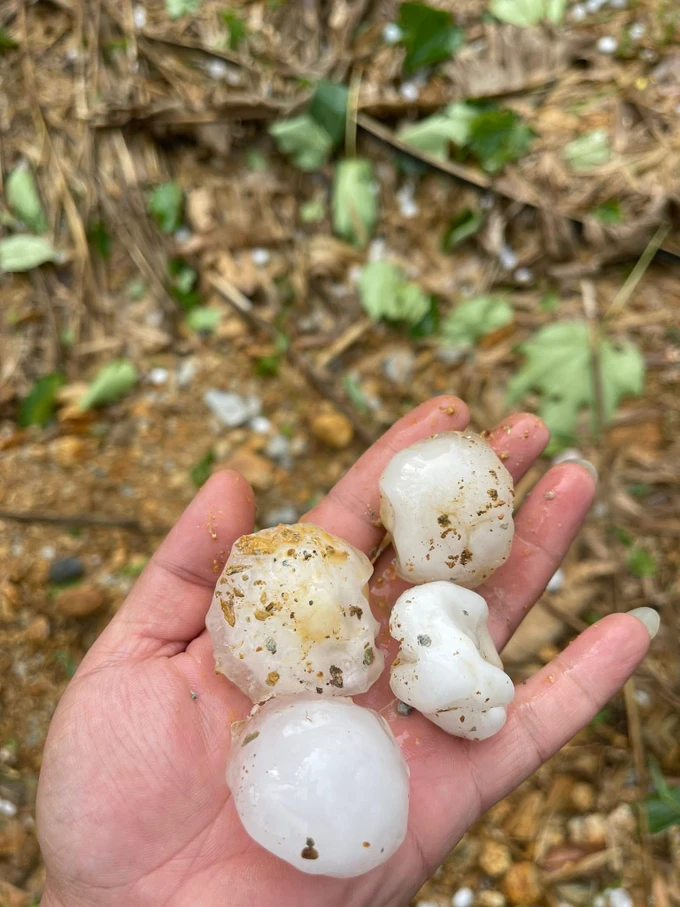 Kích thước các viên đá khá lớn với mật độ dày. Ảnh do người dân chia sẻ IMG_8497.jpeg