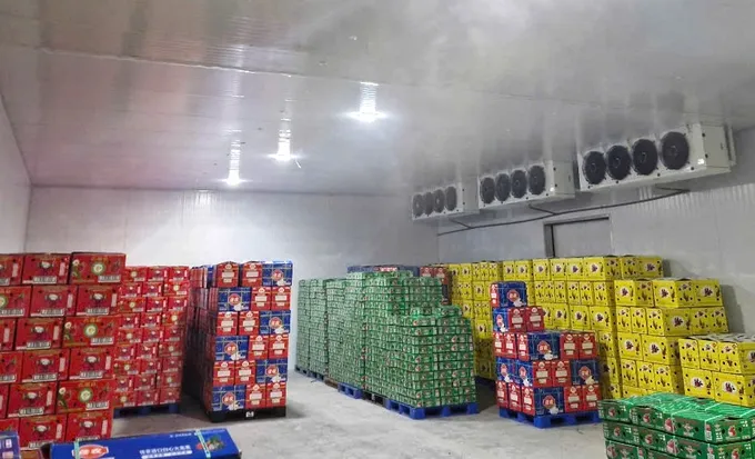 Hàng chục tấn thanh long dự kiến xuất khẩu sang châu Âu của các doanh nghiệp ở Lâm Đồng đã quá thời hạn trữ lạnh, buộc phải đổ bỏ TL2.jpg