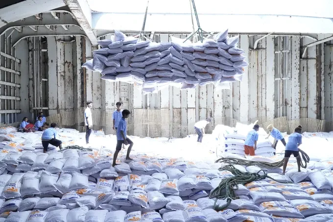 In 2024, rice export activities in Vietnam are expected to reap success 13.jpg