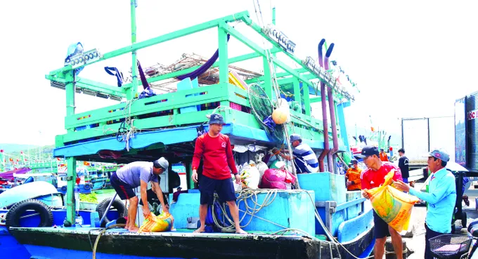 Tàu cá ngư dân Bình Định vào cảng cá cảng cá Quy Nhơn để làm thủ tục, bốc tổn vươn khơi giữa cao điểm vụ cá ngừ. Ảnh: NGỌC OAI $1d.jpg